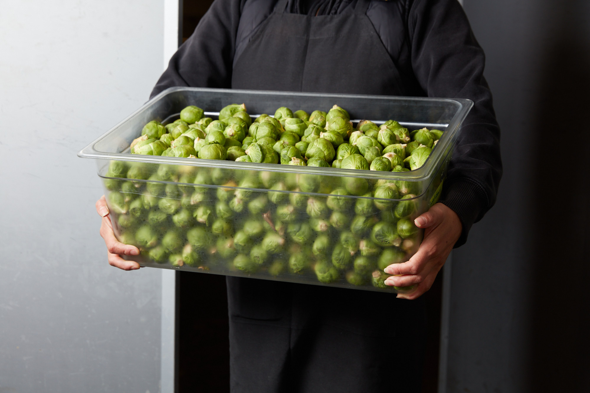 Enhance Employee Health with Catering That Boosts Productivity and Meets Every Dietary Need
